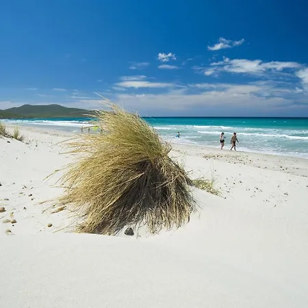 Aquamarina Pintadera Rossa & Aparthotel 4*